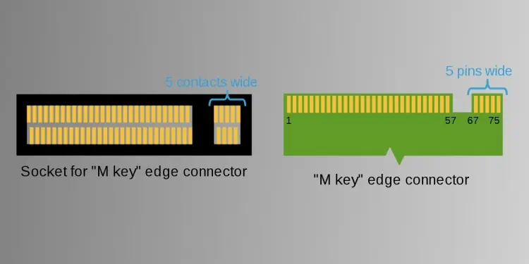 NVMe vs M.2 vs SATA - What's the Difference 3 M.2