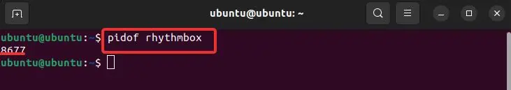 How to Force Quit an App on Linux 24 Pidof-command