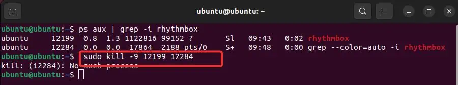 How to Force Quit an App on Linux 28 Sudo-kill-9-with-multiple-process-id