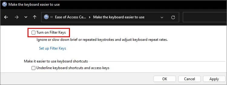 Windows-Ease-Of-Access-Disable-Filter-Keys