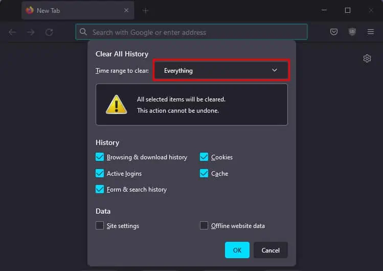 Top 10 Fixes For ‘YouTube Full Screen Not Working’ 17 Windows-Firefox-ClearAllHistory