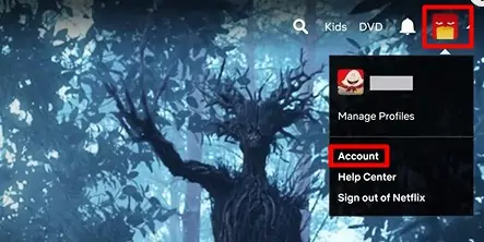 account-on-netflix