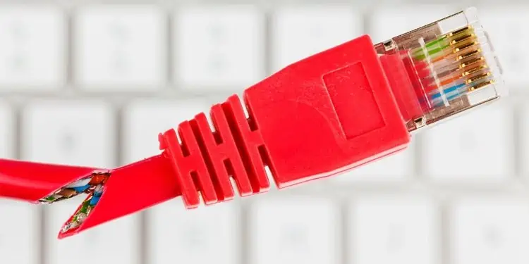 How to Fix Cable Outlet Not Working? 8 Proven Ways to Fix It 5 damaged-ethernet-cable