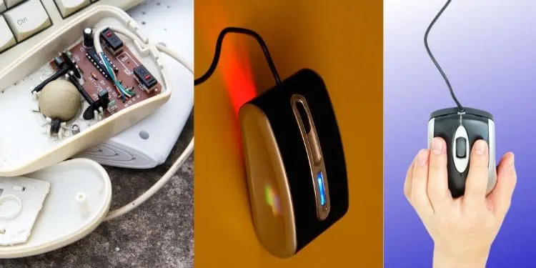 10 Best Mouse Pad Alternatives 1 different-types-of-mouse