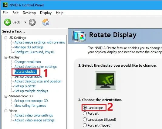 landscape-in-nvidia