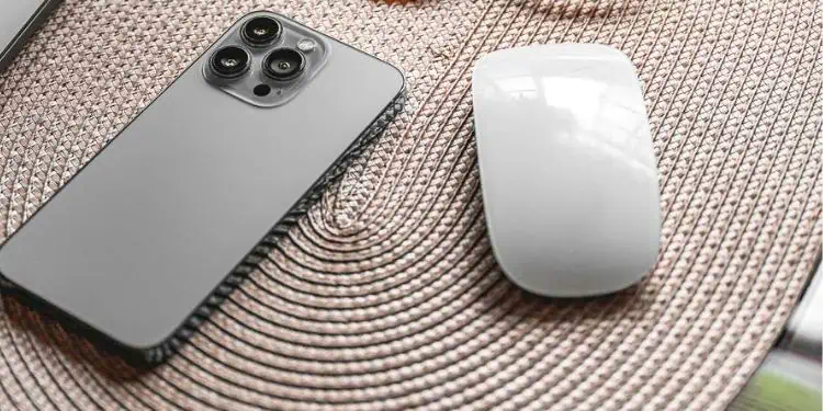 10 Best Mouse Pad Alternatives 11 mouse-above-placemat