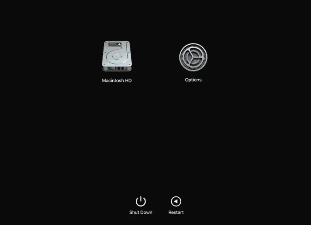 Command R Not Working on Mac? 6 Ways to Fix it 17 start-options-mac-1024x740