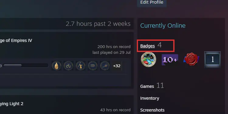 steam-badges