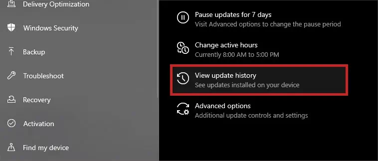 Fix: Microsoft Windows System Protection Background Tasks (SrTasks.exe) High CPU & Disk Usage 22 view-windows-update-history