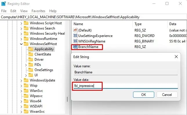 Service Registration is Missing or Corrupt - How to Fix it? 20 branchname
