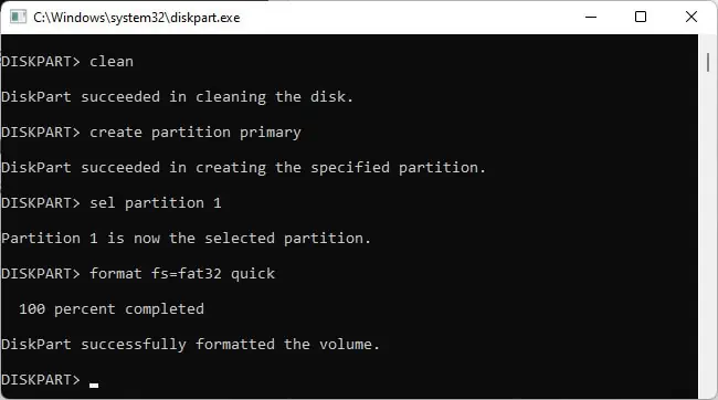 create-partition-primary-format-fsfat32