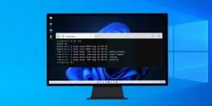 How to Install Linux Terminal on Windows