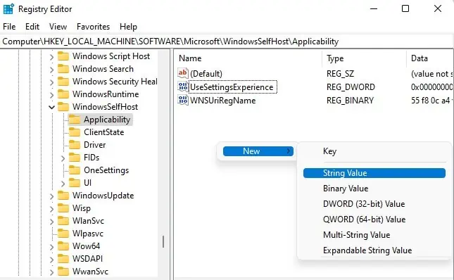 Service Registration is Missing or Corrupt - How to Fix it? 19 new-string-value