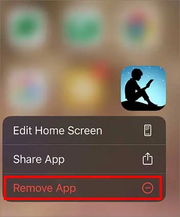 Kindle App Not Working? Try These 7 Fixes 27 remove-app-option