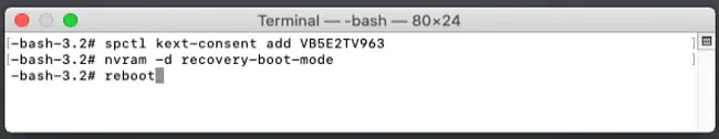 How to Create Shared Folder on Virtualbox 10 spctl-kext-consent-add