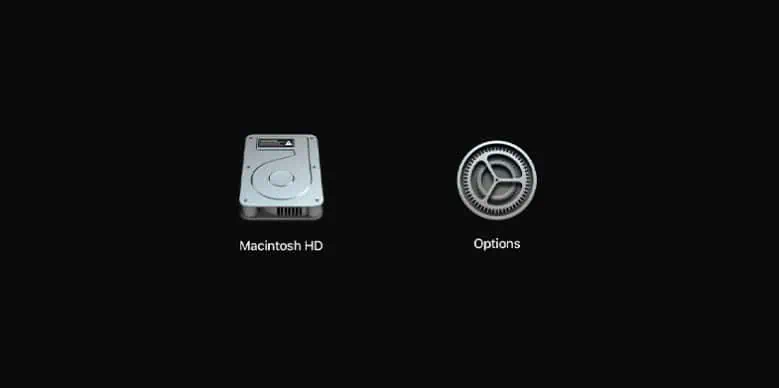 What is “Operation not permitted” Error on Mac? How to Fix It 13 startup-options-1