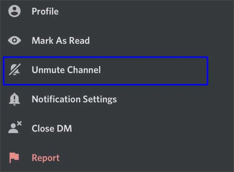 Discord Notifications Not Working? Here's How to Fix It 42 unmute-channel-option