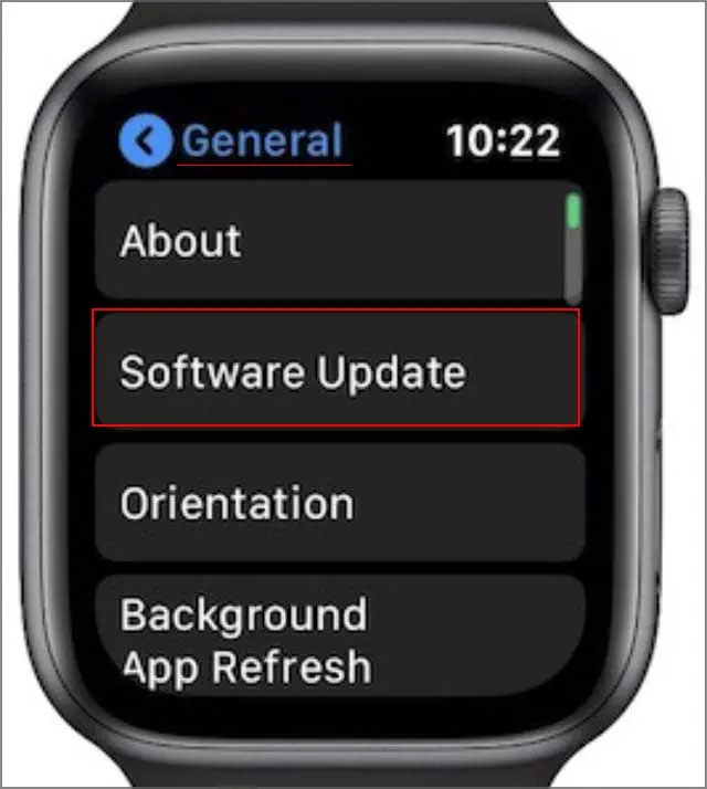 Apple Watch Won’t Swipe Up? Here’s How to Fix It 22 choose-general-and-software-update-apple-watch
