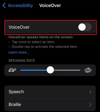 iPhone Swipe Up Not Working? Here's 6 Ways to Fix It 14 disable-the-VoiceOver-feature