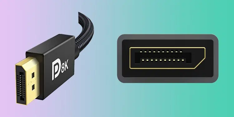 displayPort