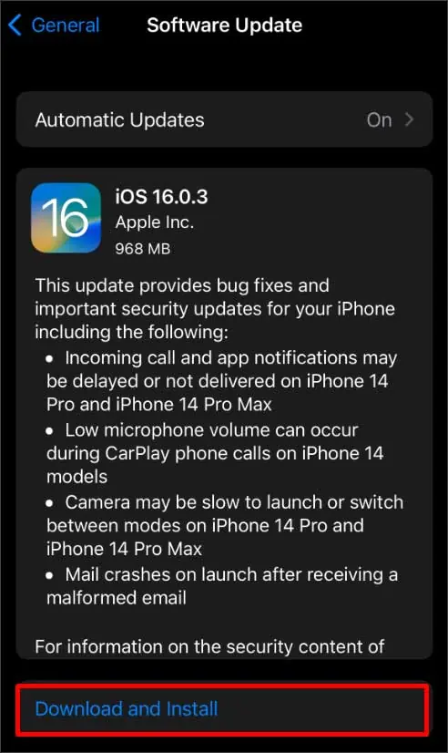 download-and-install-option
