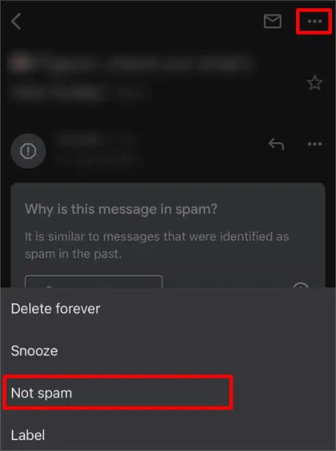 Gmail Messages Are Missing? Try these 9 Ways to Fix It 61 not-spam-option