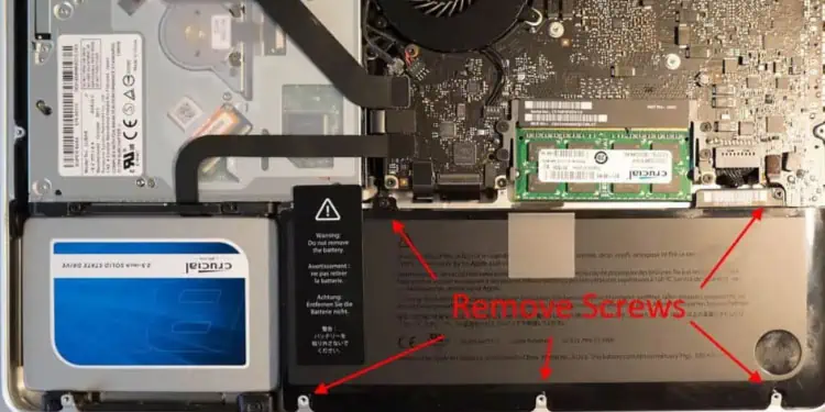How to Fix Dell Laptop Not Turning On 8 remove-battery-screws-dell-laptop