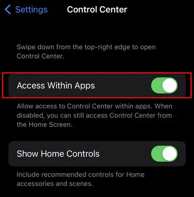 iPhone Swipe Up Not Working? Here's 6 Ways to Fix It 12 toggle-on-the-access-within-apps-features