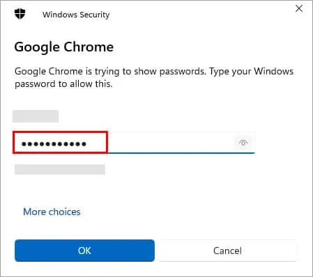 How to See Saved Passwords on Chrome 27 Chrome-Reveal-Password-Admin-Password-3