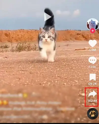 Embed-TikTok-Video-Mobile-Share