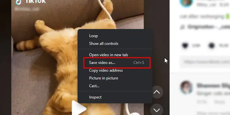 Embed-TikTok-Video-PC-Save-Video-as