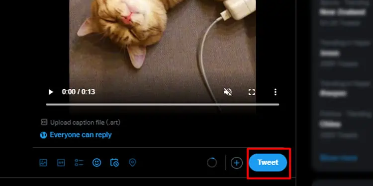 Embed-TikTok-Video-PC-Twitter-Media-Open-Tweet