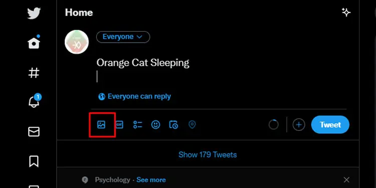 Embed-TikTok-Video-PC-Twitter-Media