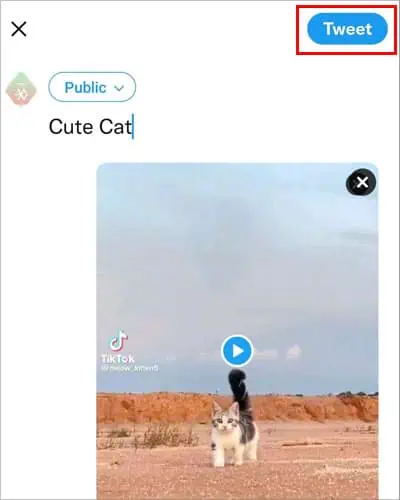 Embed-TikTok-Video-Twitter-Media-Tweet-1