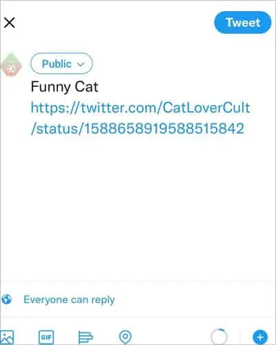 Embed-Twitter-Video-Android-Tweet-URL-Delete