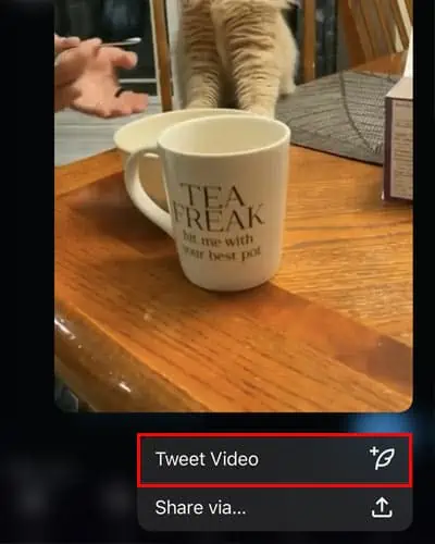 Embed-Twitter-Video-iPhone-Tweet-Video