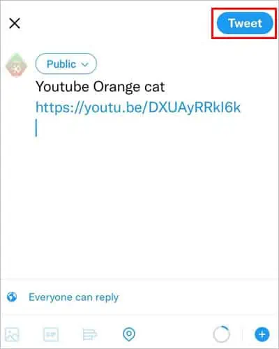Embed-Youtube-Video-Mobile-Share-Twitter-Tweet