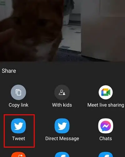 Embed-Youtube-Video-Mobile-Share-Twitter