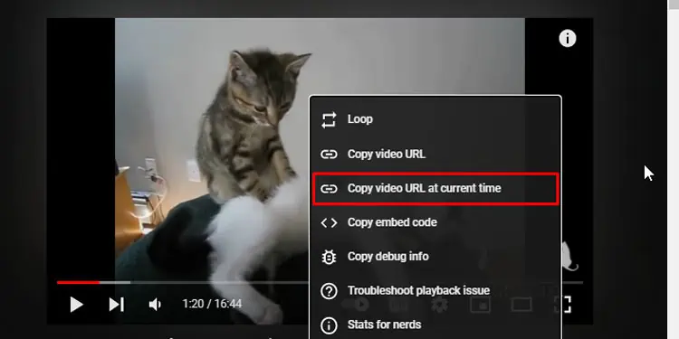 Embed-Youtube-Video-PC-Copy-Video-URL-At-Current-Time