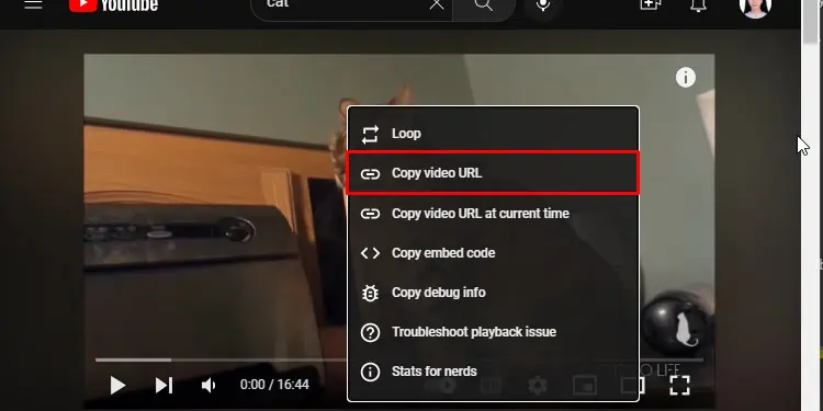 Embed-Youtube-Video-PC-Copy-Video-URL