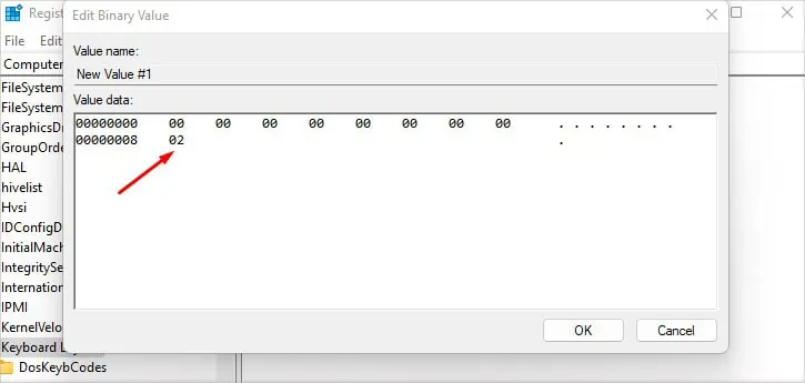 How to Disable a Key on Keyboard 30 enter-02-or-03-hex-code