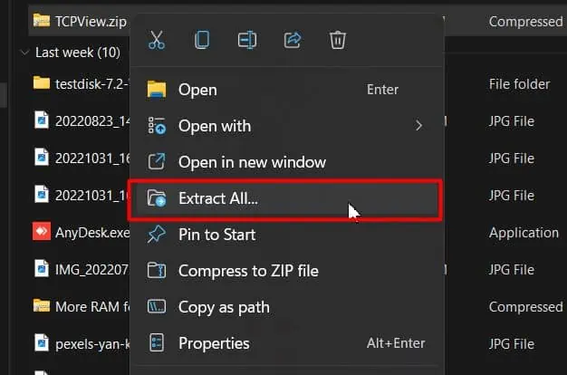 How to Check if a Port is Open on Windows 15 extract-tcpview