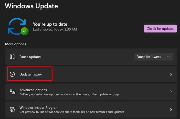 Fix: Windows Did Not Detect Any Networking Hardware 27 update-history