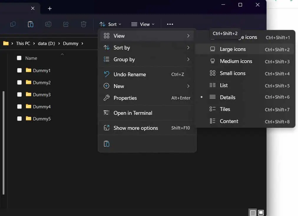 View-option-of-folder