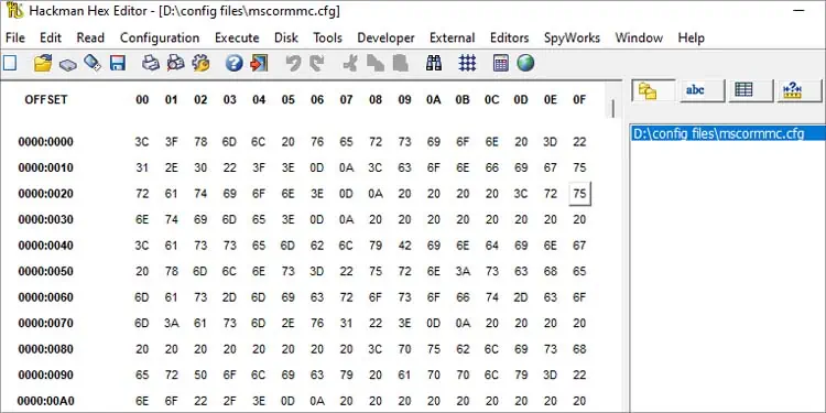cfg-file-in-hex-editor-2