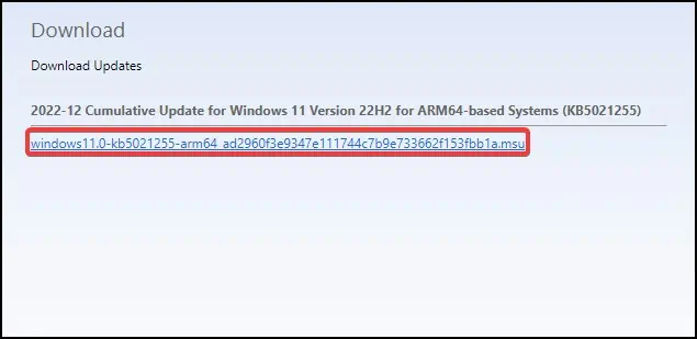 How to Perform Windows 11 Manual Update 6 download-update-confirm
