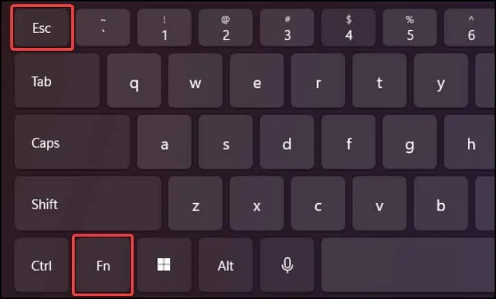 fn-esc-keys