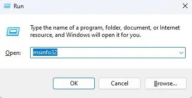 How to Download and Install a Network Adapter Driver 4 msinfo-network-adapter-driver-run