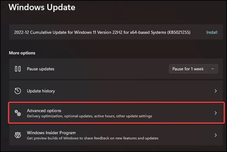 How to Perform Windows 11 Manual Update 2 update-advance-options