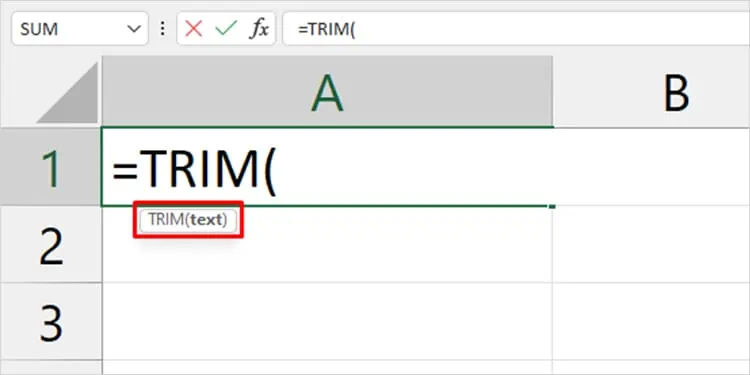 Trim-function-format-Excel